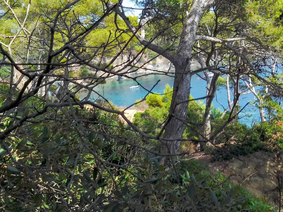 Typical Toulon Apartment 50M Beaches